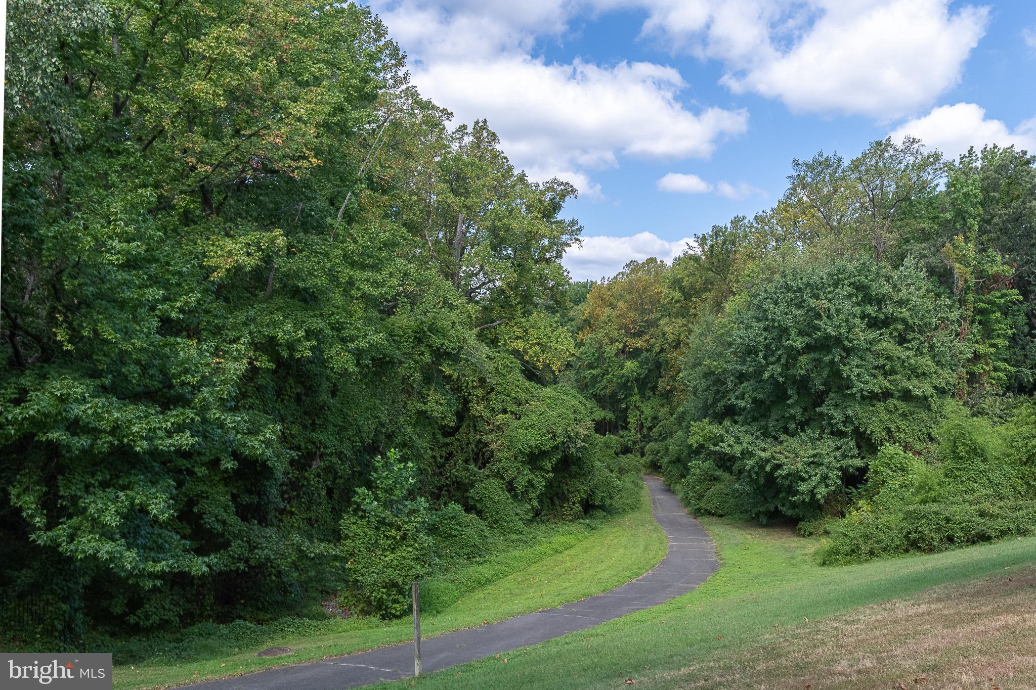 5920 Terrapin Place Alexandria, VA 22310 - Photo 64 of 67 Walking path