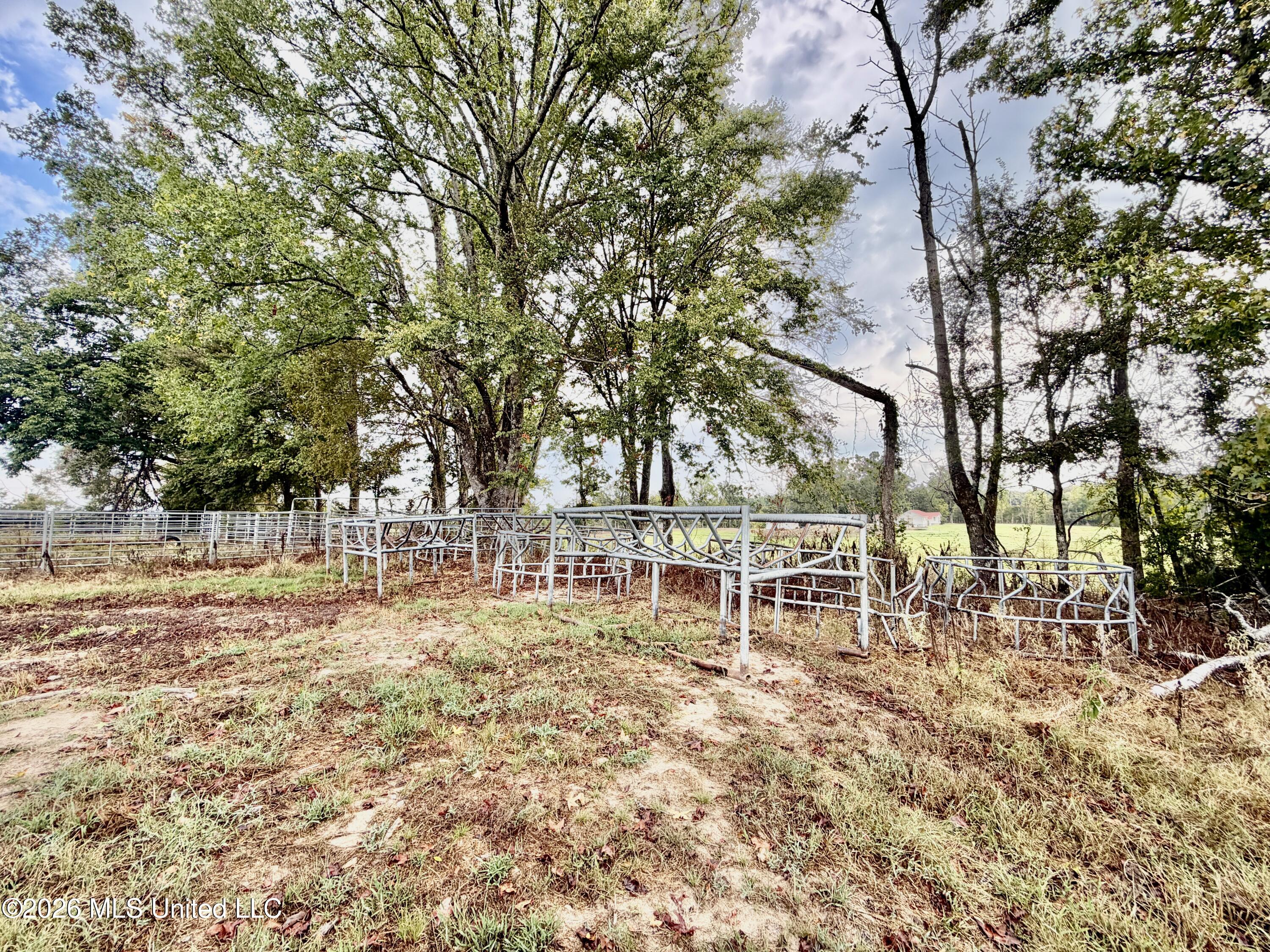 1955 Adams Road Oakland, MS 38948 - Photo 19 of 26 IMG_5663