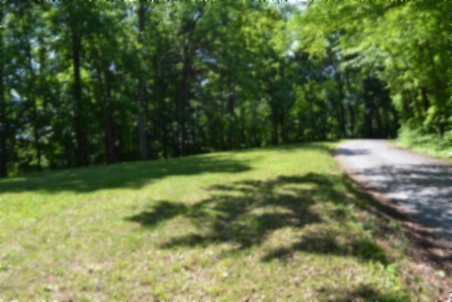 318 Rock Springs Road Celina, TN 38551 - Photo 75 of 87 a view of a yard with a trees