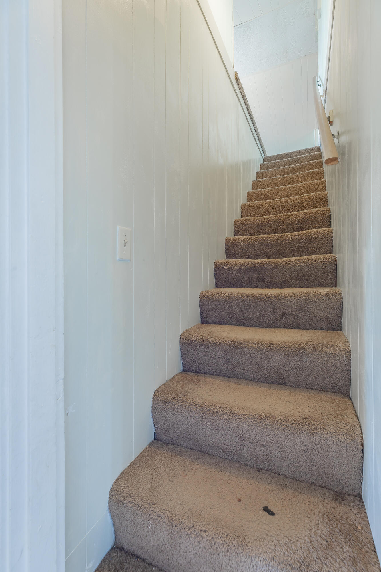 904 South Crest Road Chattanooga, TN 37404 - Photo 36 of 76 904 S Crest Road HD-68