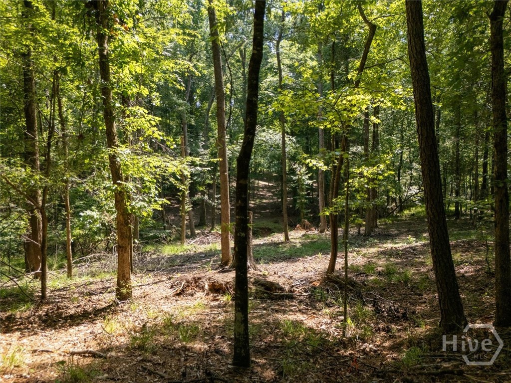 0 Winding Ridge Drive Dillard, GA 30537 - Photo 18 of 19 Gallery Image 18
