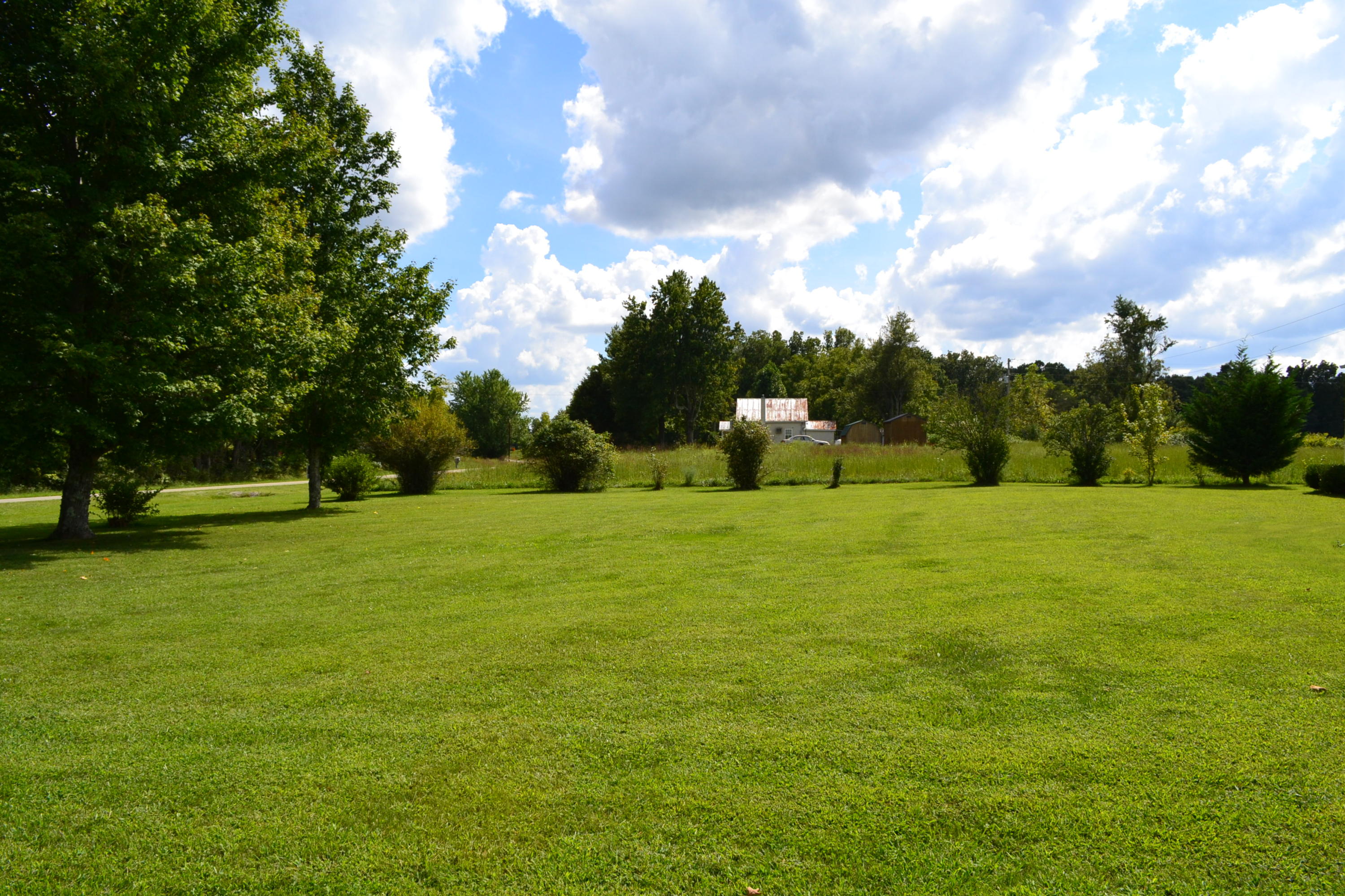3554 Martha Washington Road Clarkrange, TN 38553 - Photo 19 of 32 Yard