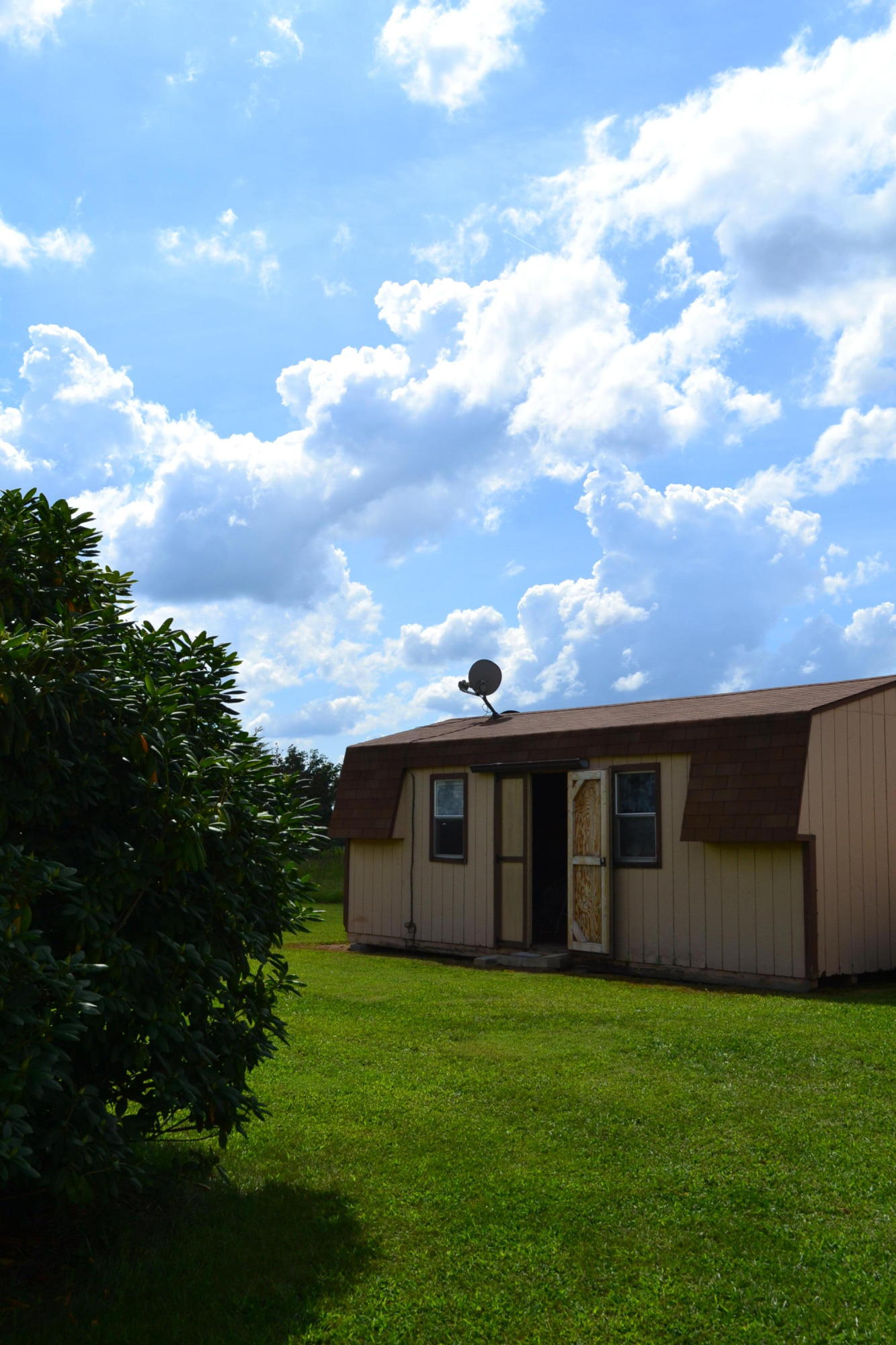 3554 Martha Washington Road Clarkrange, TN 38553 - Photo 21 of 32 Storage Building