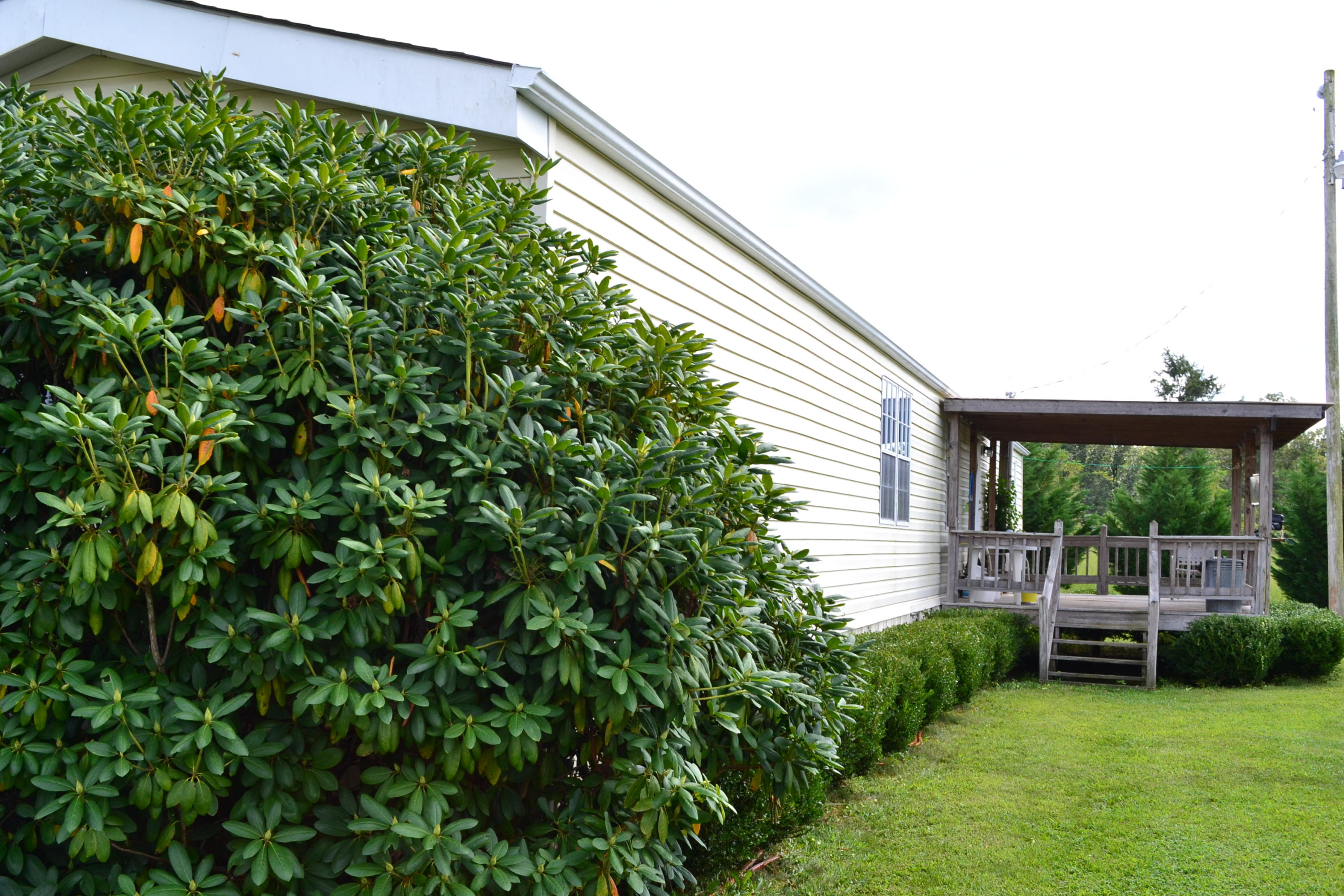 3554 Martha Washington Road Clarkrange, TN 38553 - Photo 22 of 32 DSC_0592