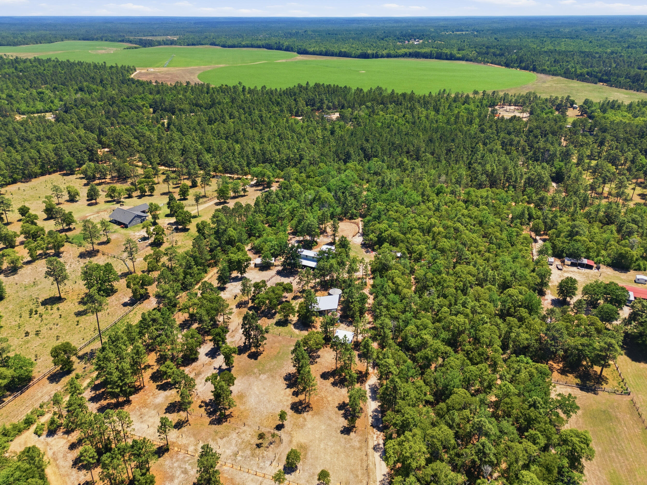149 Pearl Bonnett Road Windsor, SC 29856 - Photo 41 of 43