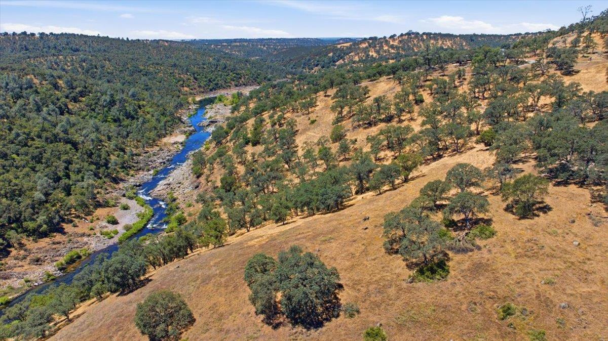7265 Dragon Point Road Shingle Springs, CA 95682 - Photo 9 of 11 a view of a forest with a forest
