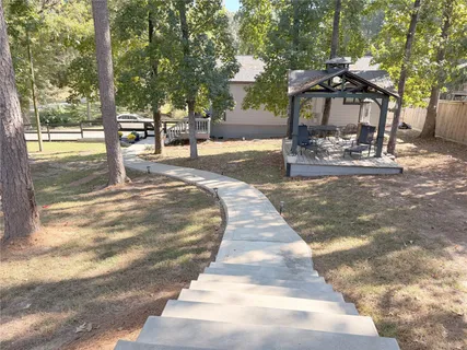 a view of a yard with plants and trees