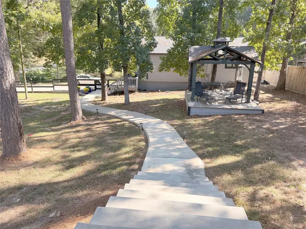 a view of a yard with plants and trees