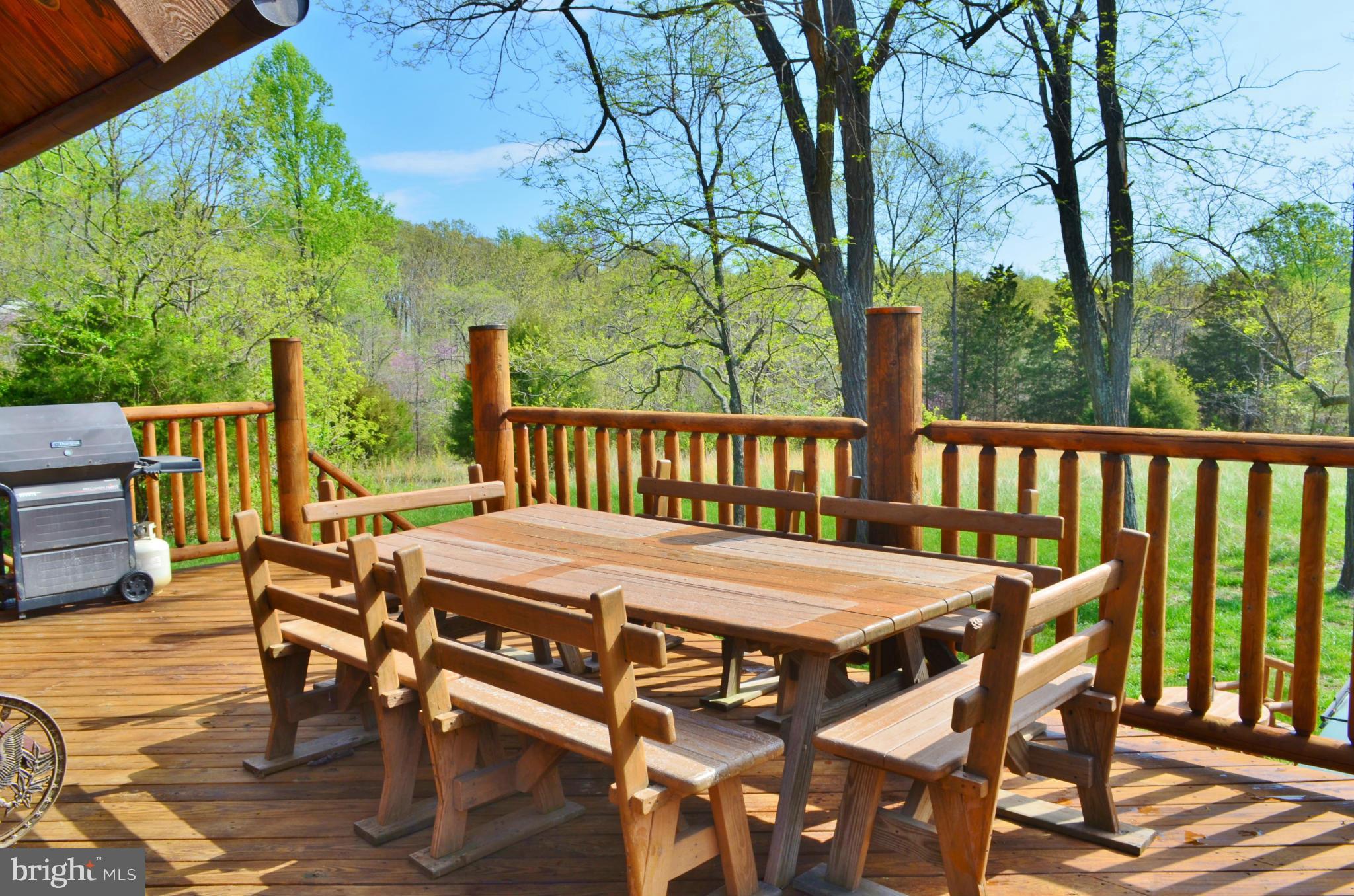 7877 Moreland Gap Road Fort Valley, VA 22652 - Photo 15 of 30 Huge Deck w/ Large Family Dining Area