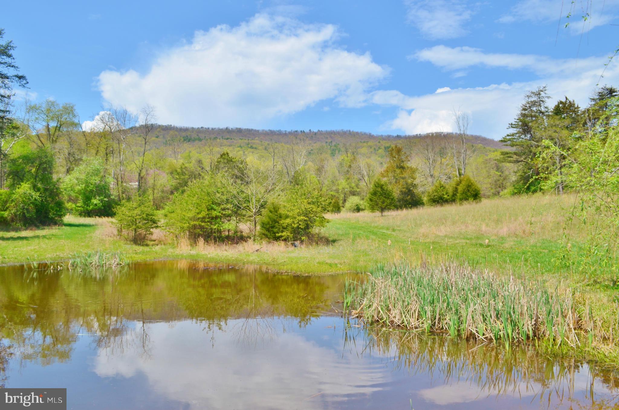 7877 Moreland Gap Road Fort Valley, VA 22652 - Photo 2 of 30 Pond Stocked with Fish, Awesome Mountain Views