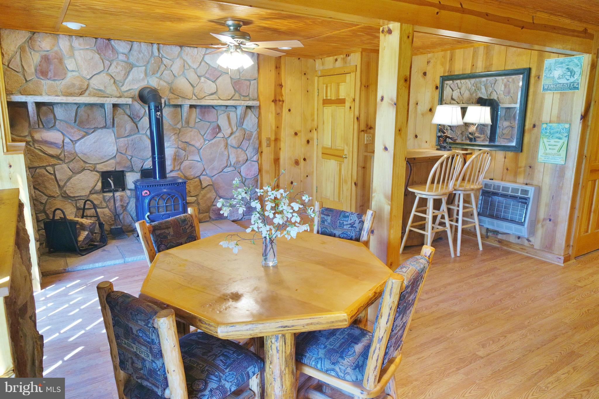7877 Moreland Gap Road Fort Valley, VA 22652 - Photo 21 of 30 Bar and Sitting Area, 2nd Swedish Wood Stove!