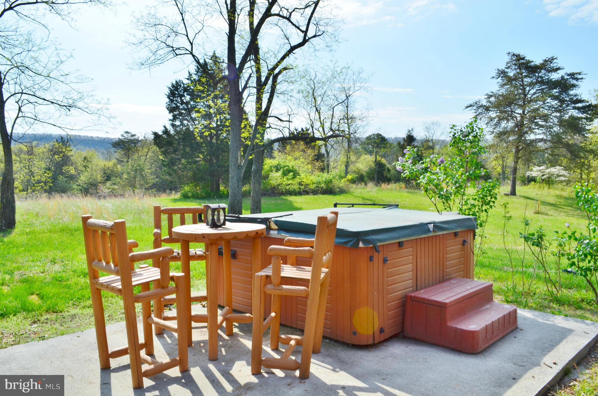 7877 Moreland Gap Road Fort Valley, VA 22652 - Photo 27 of 30 Hot Tub, Conveys! Patio for Entertaining