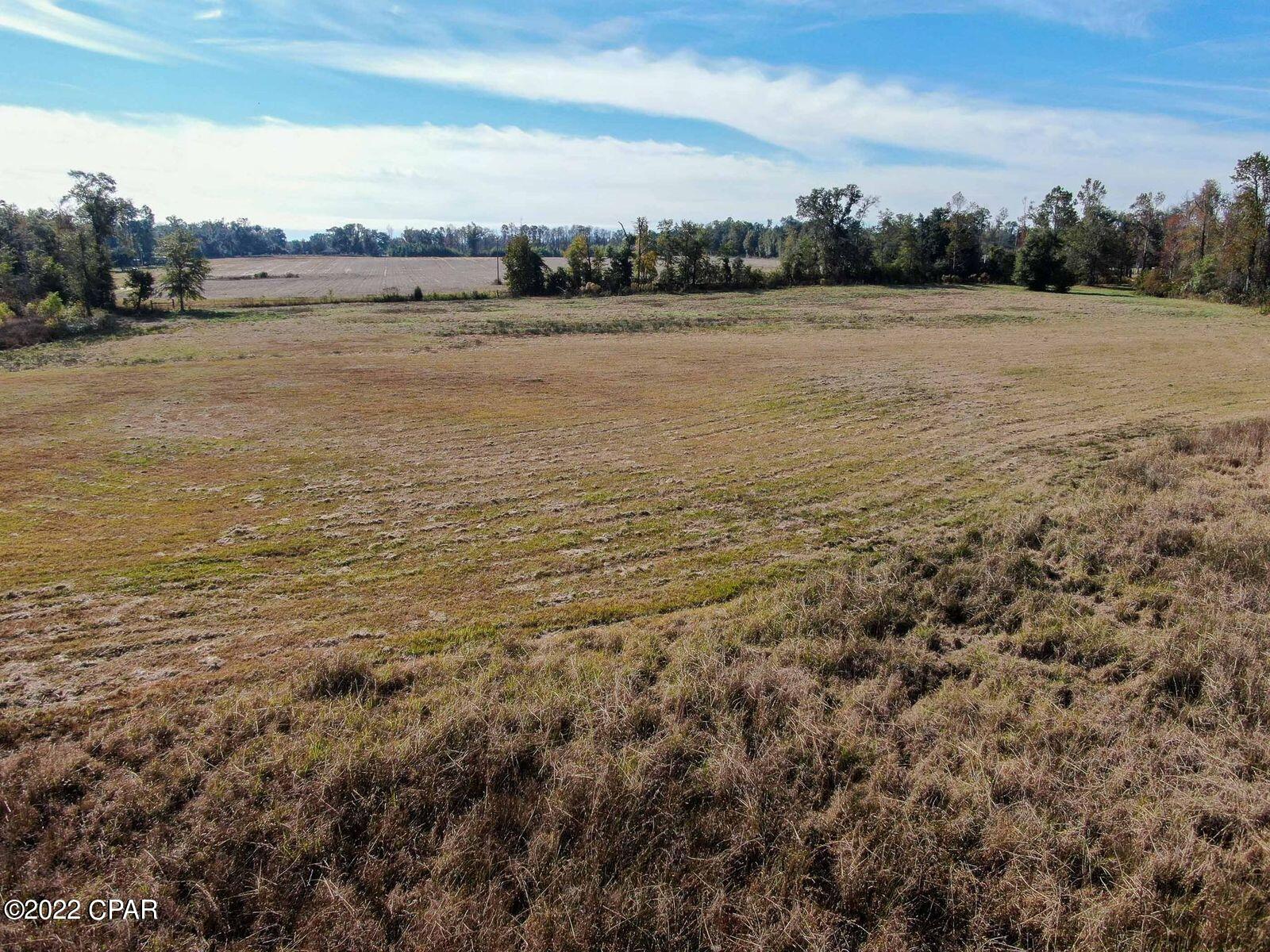 2196 Archie Sapp Road Alford, FL 32420 - Photo 18 of 39