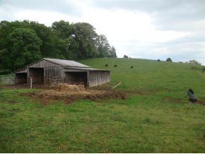 658 Old Stage Road Johnson City, TN 37615 - Photo 1 of 4 Photo 1