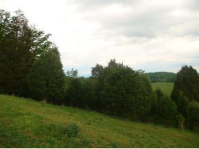 658 Old Stage Road Johnson City, TN 37615 - Photo 4 of 4 Photo 4