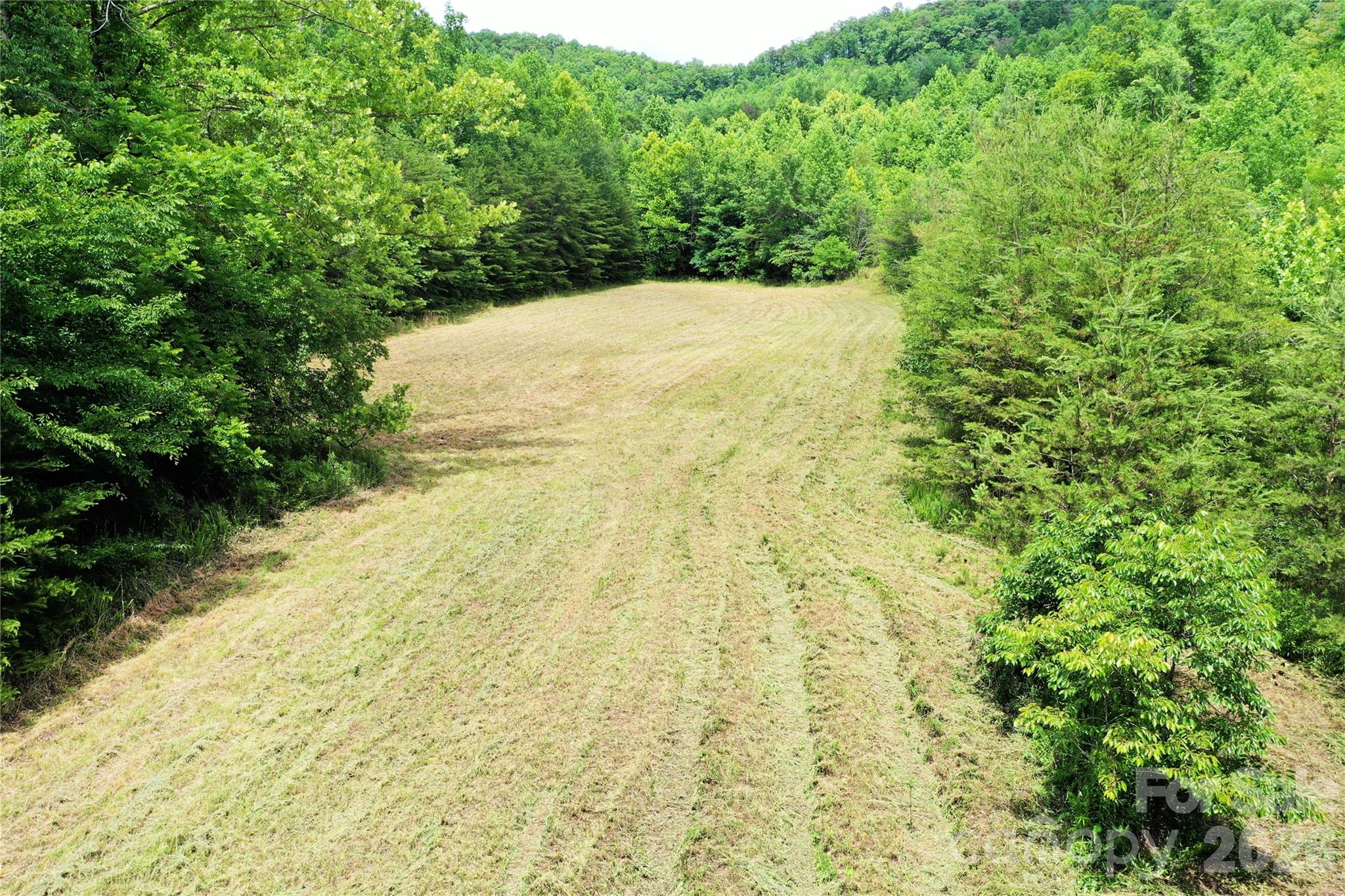 0 Club House Road Lake Lure, NC 28746 - Photo 2 of 20