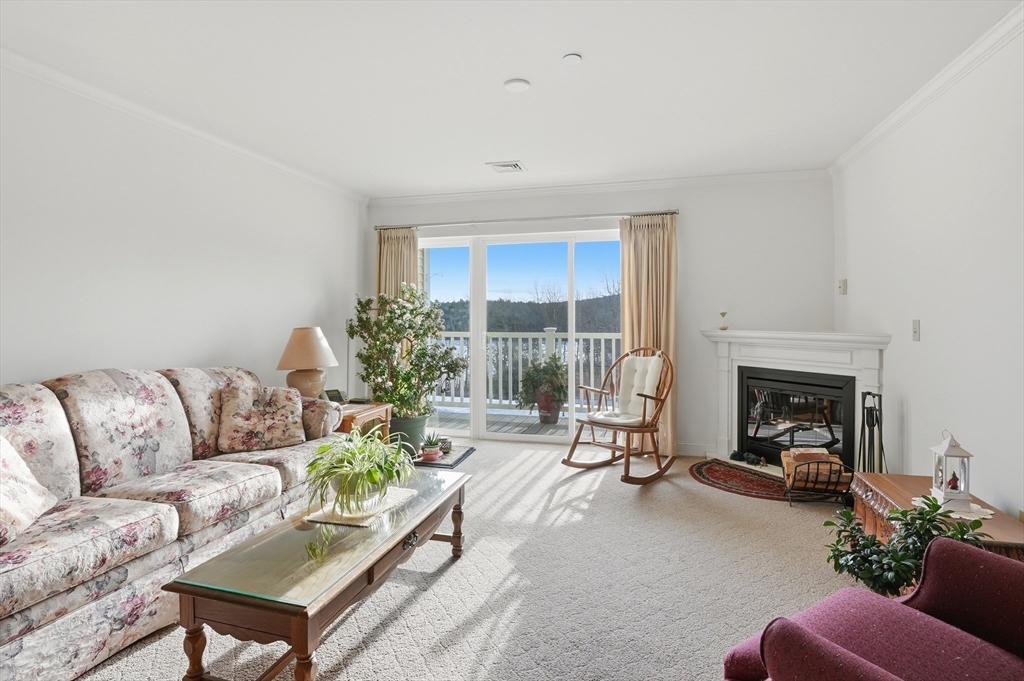 1818 Main Street, Unit 204 Holden, MA 01522 - Photo 4 of 30 a living room with furniture a fireplace and potted plants