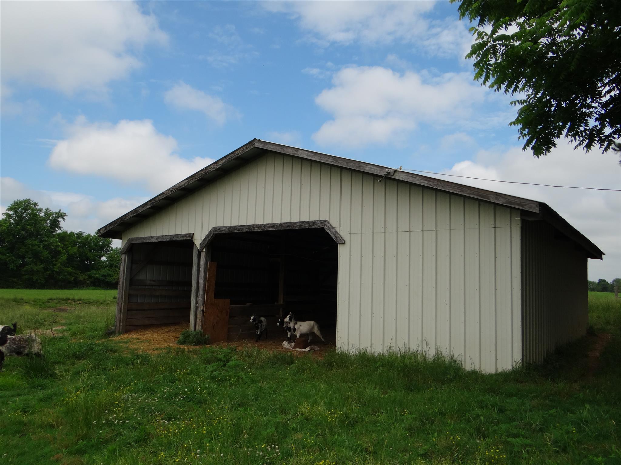 359 Red Hill-Center Road Lawrenceburg, TN 38464 - Photo 14 of 17 Gallery Image 14