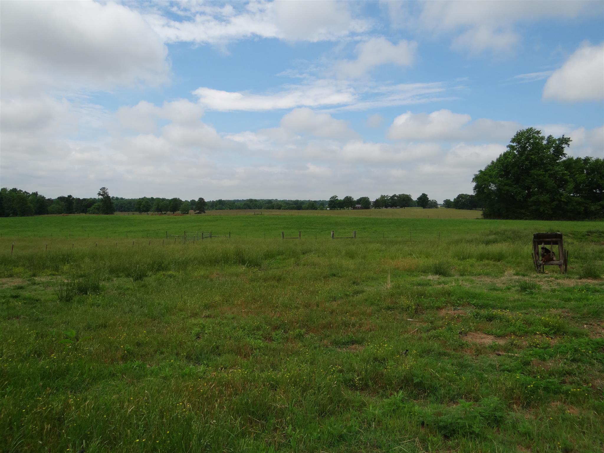 359 Red Hill-Center Road Lawrenceburg, TN 38464 - Photo 15 of 17 Gallery Image 15