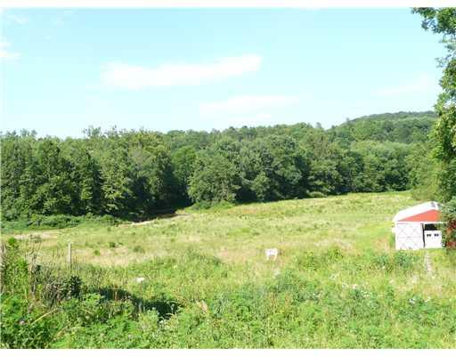 386 Cowpath Road Aliquippa, PA 15001 - Photo 16 of 18 Land.