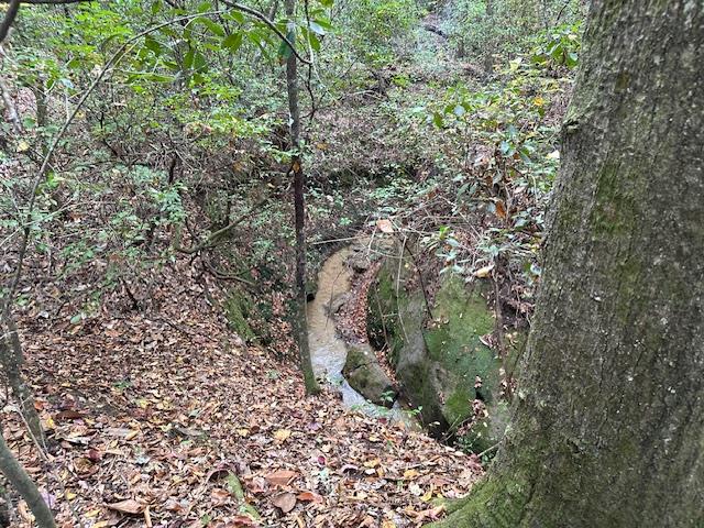 0 County Road 177 Abbeville, AL 36310 - Photo 6 of 7