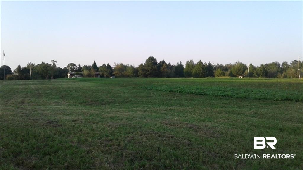 16801 Mosley Road Stapleton, AL 36578 - Photo 5 of 5