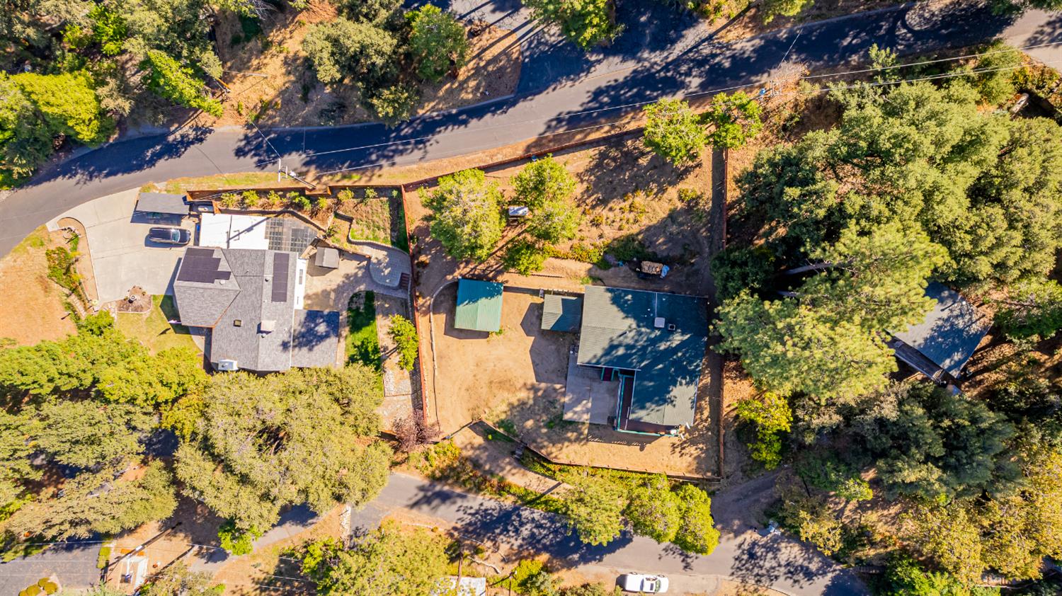42585 Buckeye Road Oakhurst, CA 93644 - Photo 52 of 55 a view of a yard with plants and large trees