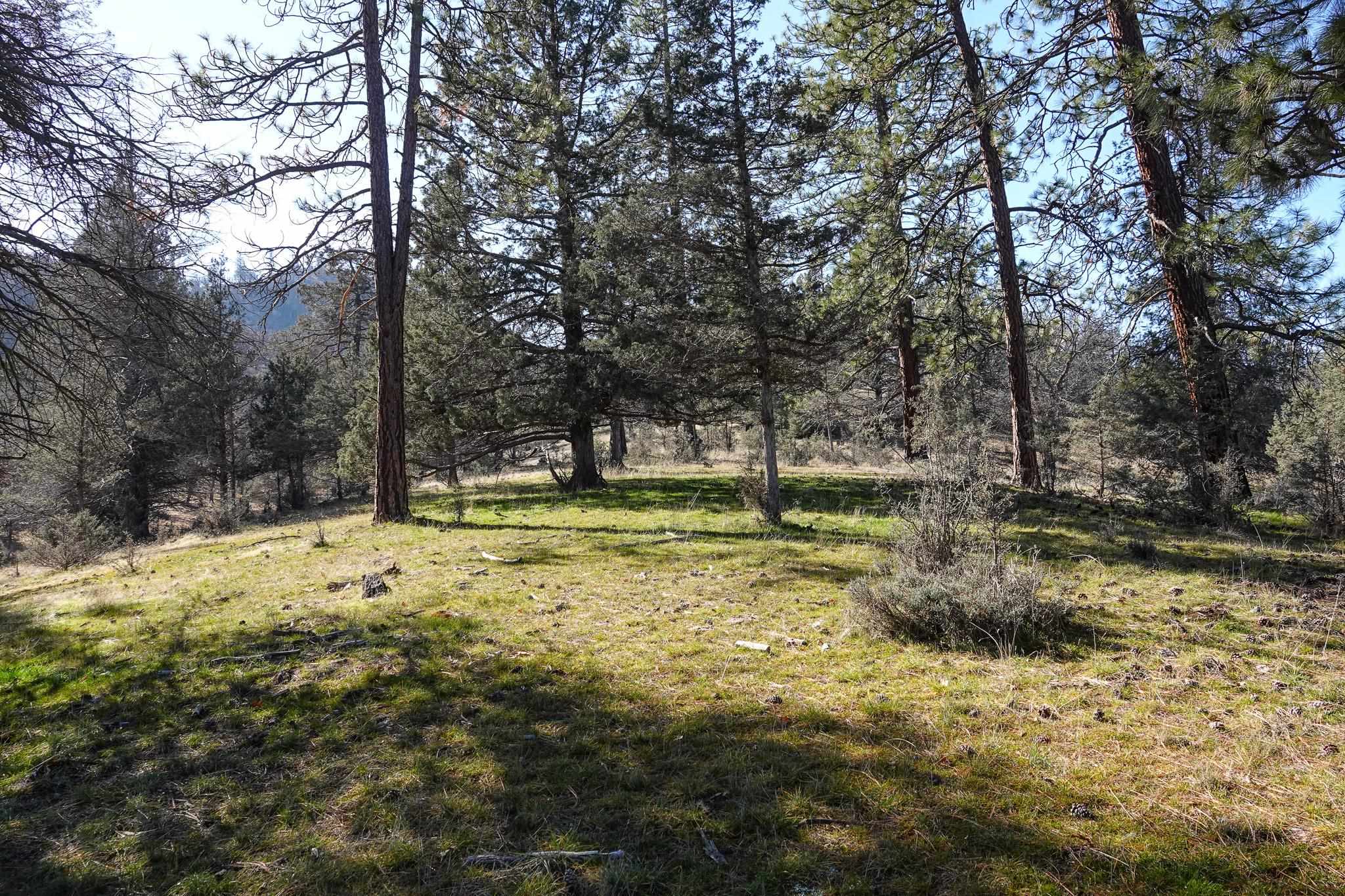 0 Scarface Road Fort Jones, CA 96032 - Photo 23 of 35 Gallery Image 23