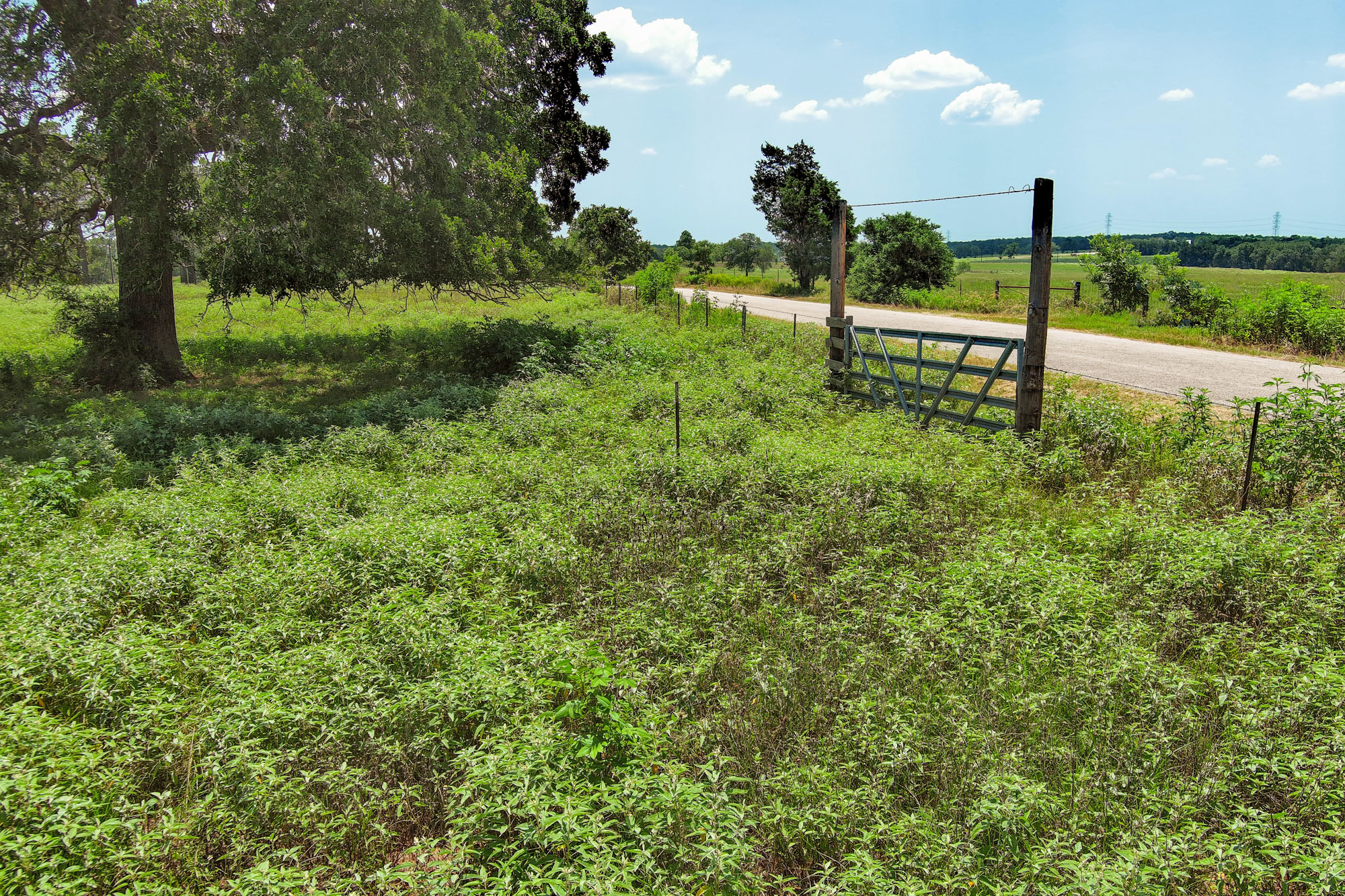 Tbd Hofferek Road Rosanky, TX 78953 - Photo 29 of 32 A rural landscape featuring a private road, verdant fields, and a sturdy gate welcoming you to open spaces.