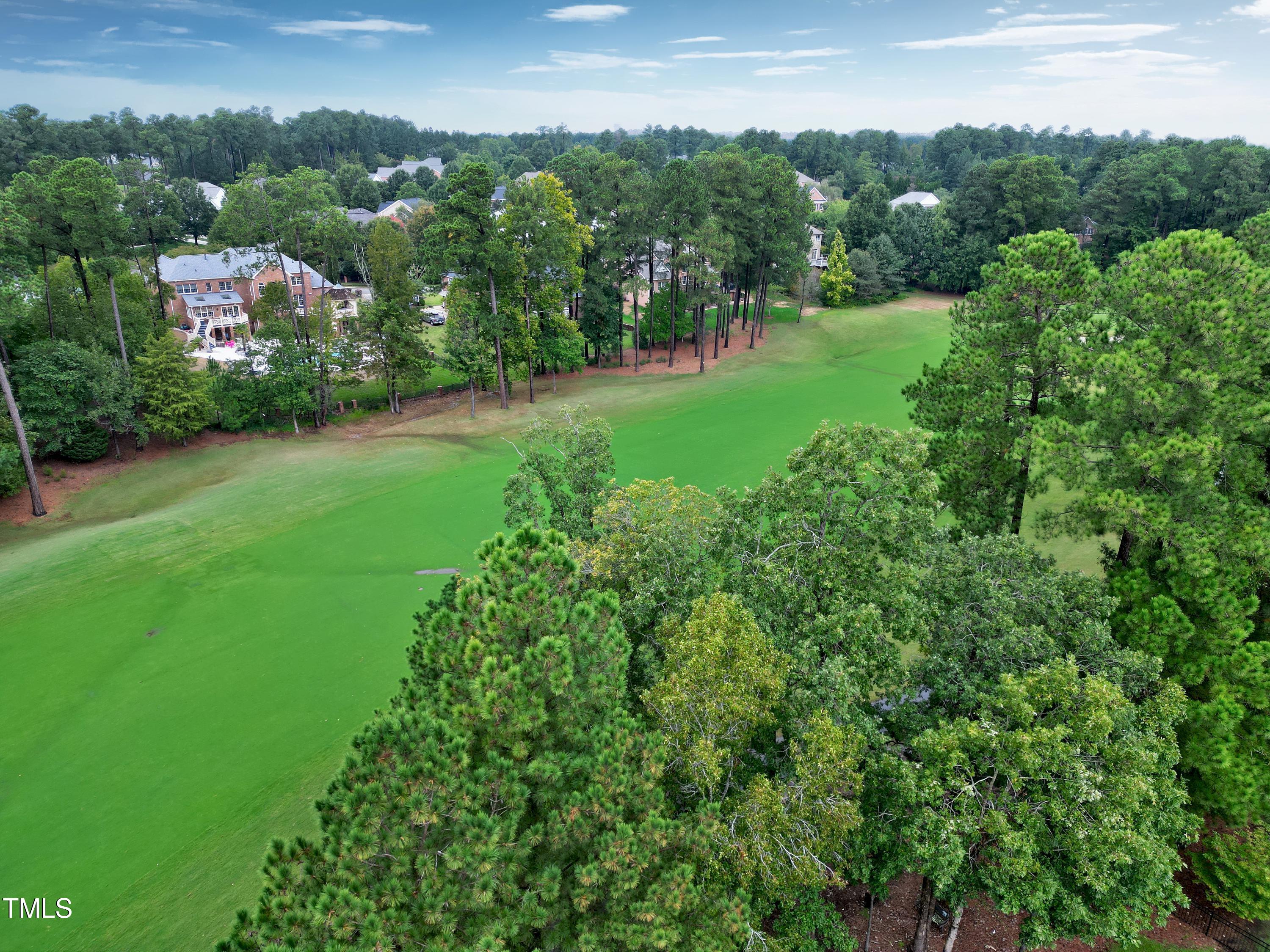 10837 Round Brook Circle Raleigh, NC 27617 - Photo 43 of 50 Aerial-10