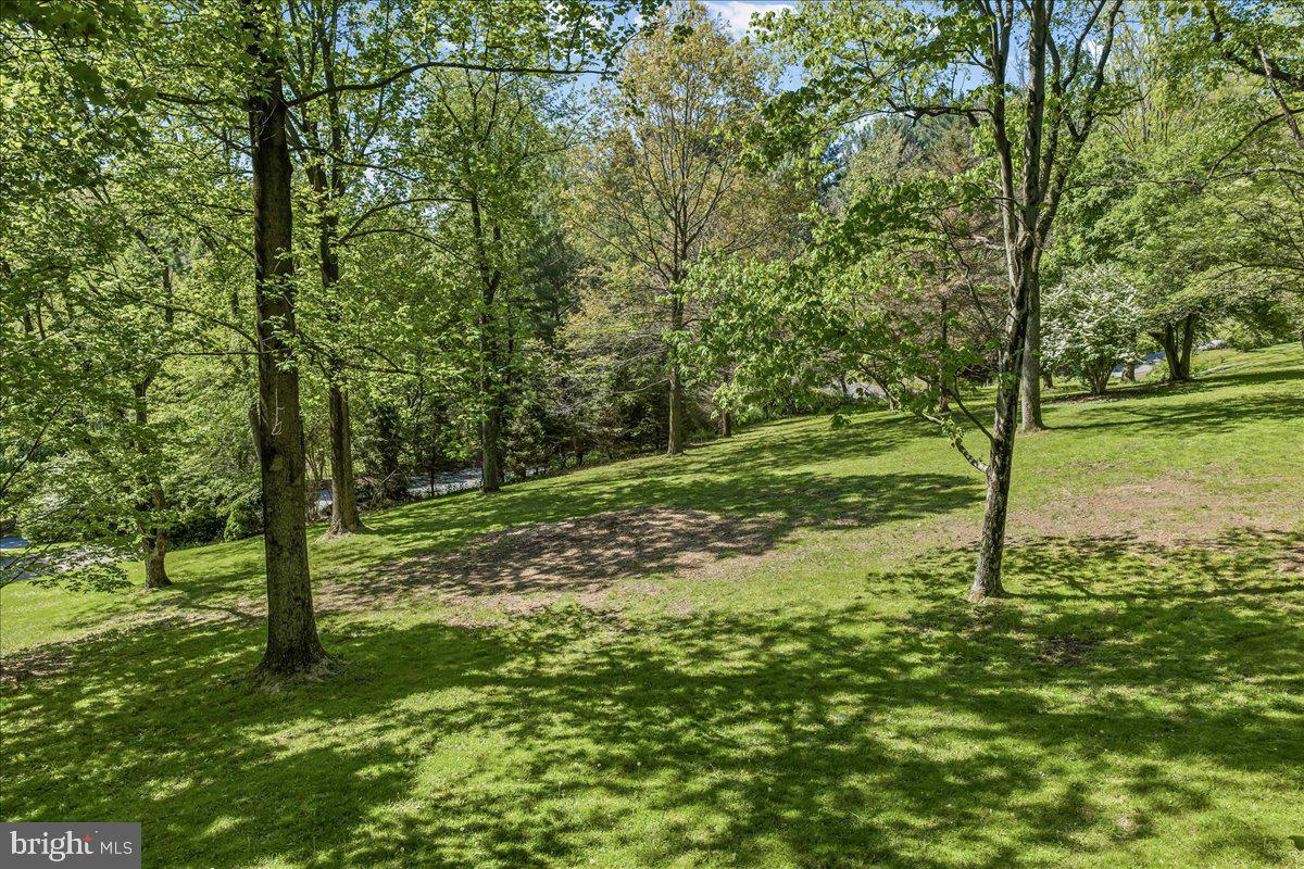 322 Buttonwood Road Landenberg, PA 19350 - Photo 50 of 60 Lush green oasis under dappled sunlight.