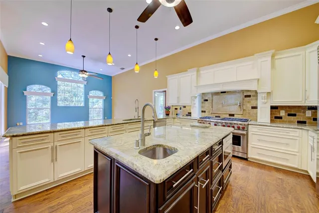 a view of a yard with plants and trees