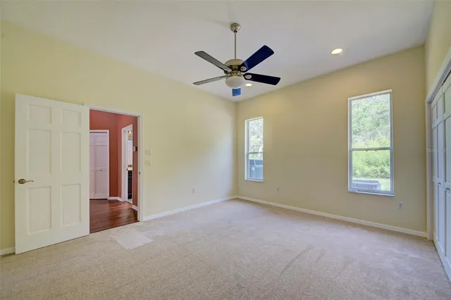a view of a park with large trees