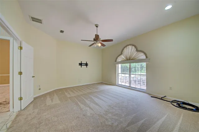 a view of a park with large trees