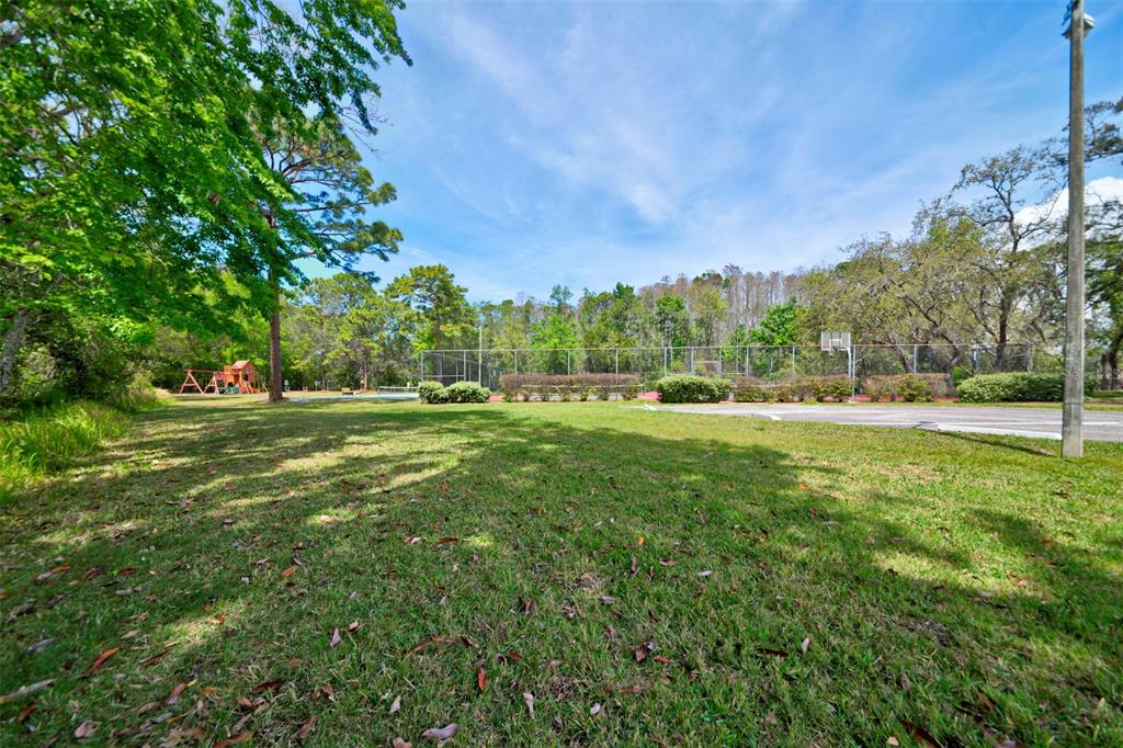 7333 Royal Oak Drive Spring Hill, FL 34607 - Photo 76 of 98