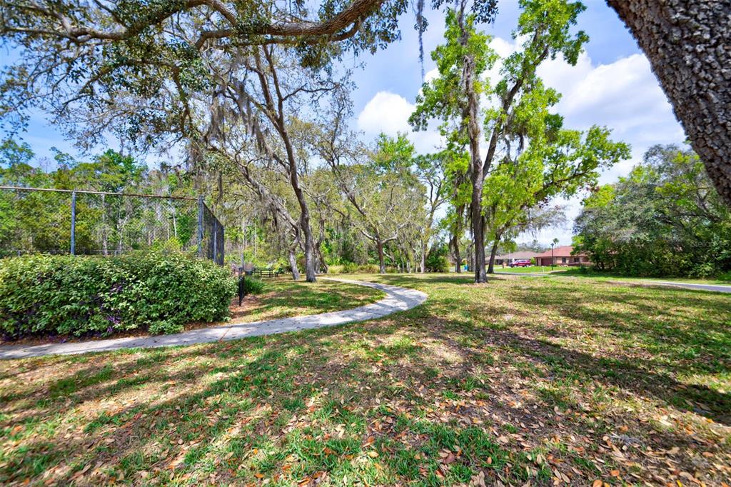 7333 Royal Oak Drive Spring Hill, FL 34607 - Photo 77 of 98