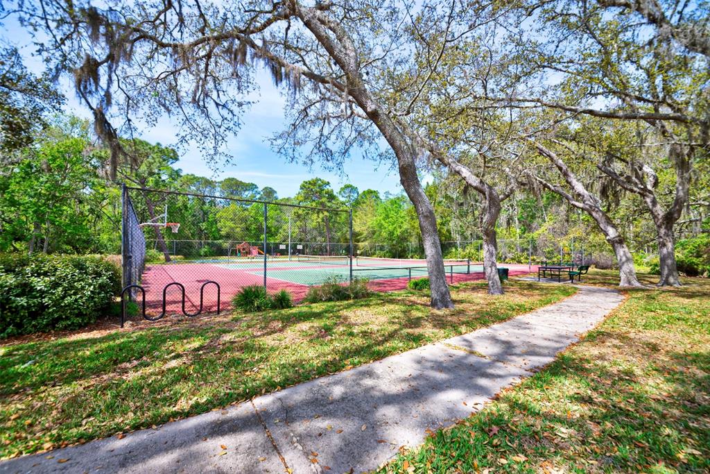 7333 Royal Oak Drive Spring Hill, FL 34607 - Photo 78 of 98