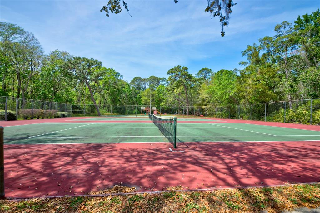 7333 Royal Oak Drive Spring Hill, FL 34607 - Photo 80 of 98