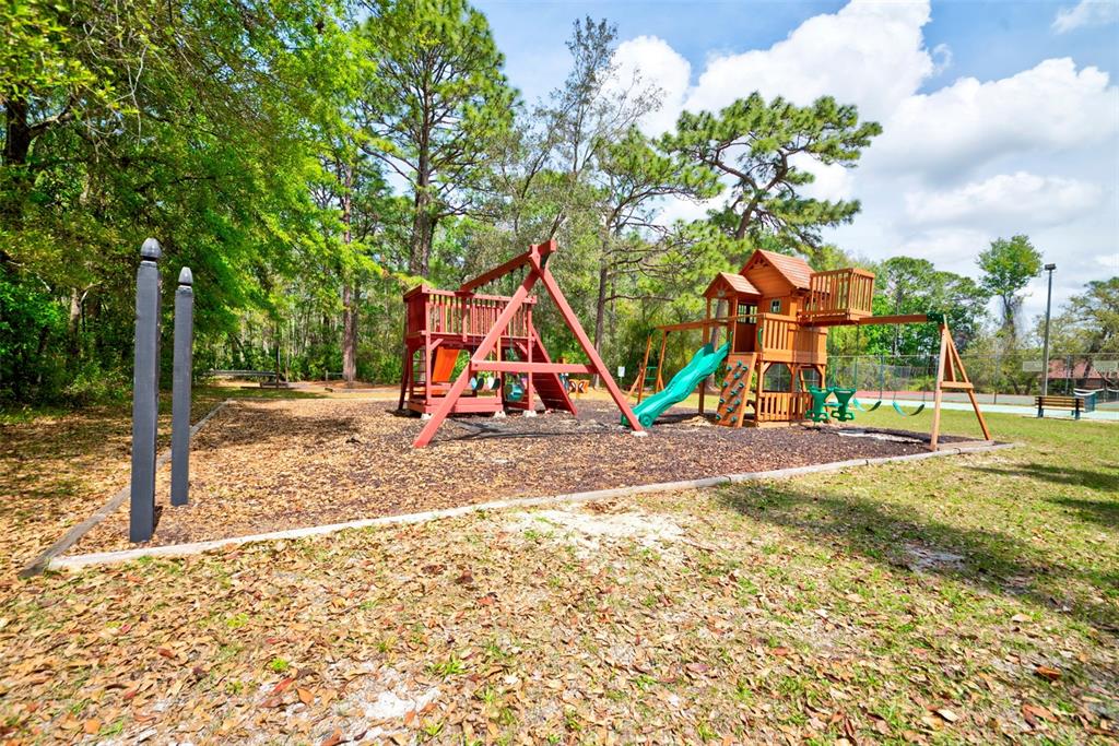 7333 Royal Oak Drive Spring Hill, FL 34607 - Photo 84 of 98