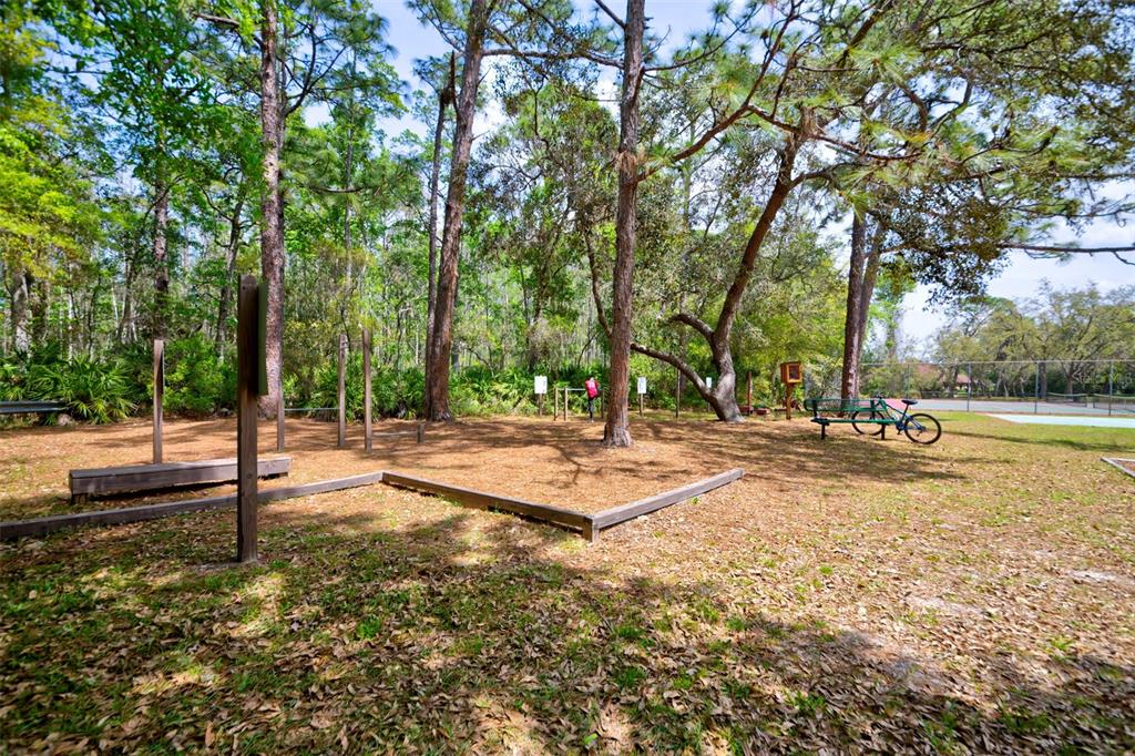 7333 Royal Oak Drive Spring Hill, FL 34607 - Photo 85 of 98