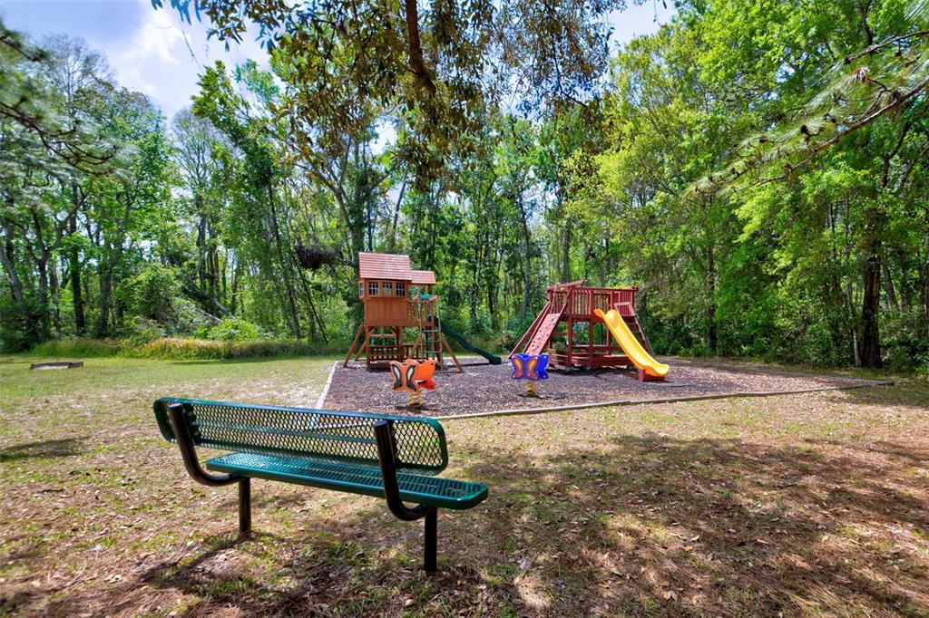7333 Royal Oak Drive Spring Hill, FL 34607 - Photo 89 of 98