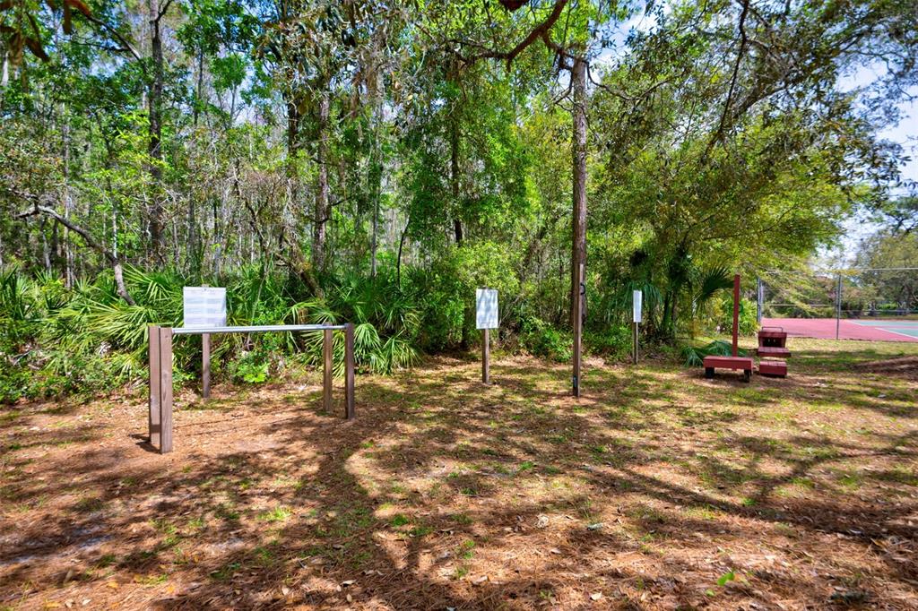 7333 Royal Oak Drive Spring Hill, FL 34607 - Photo 92 of 98