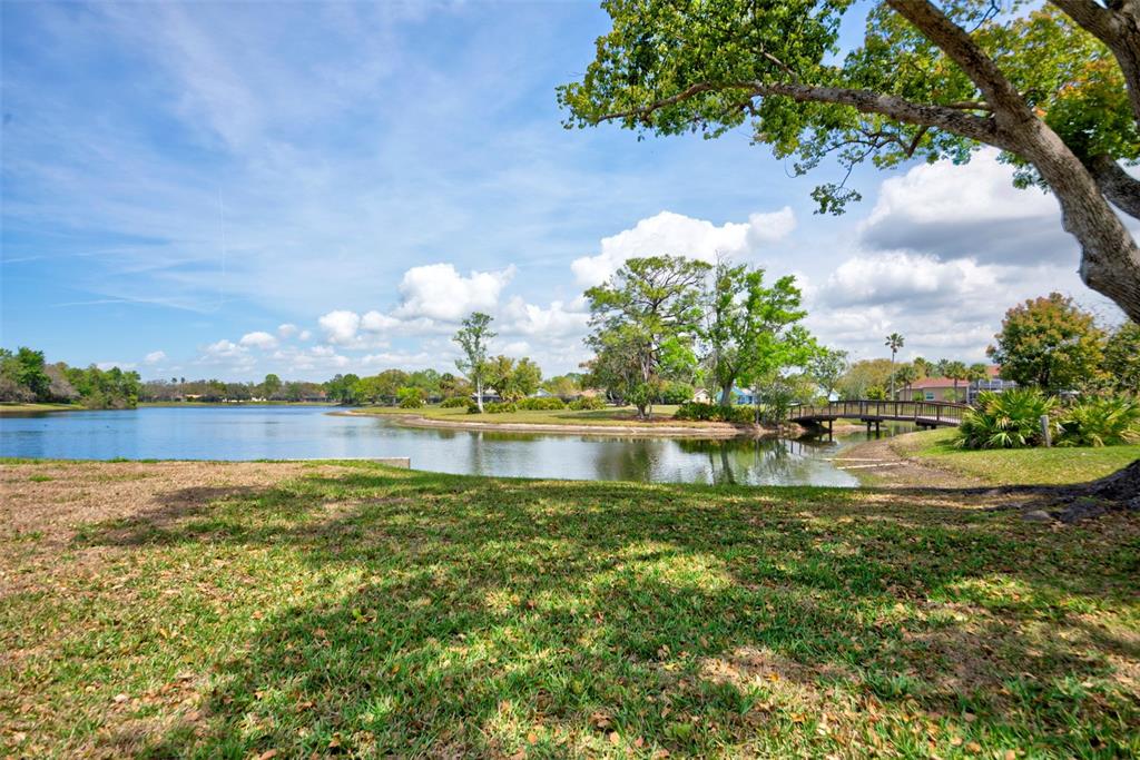 7333 Royal Oak Drive Spring Hill, FL 34607 - Photo 96 of 98