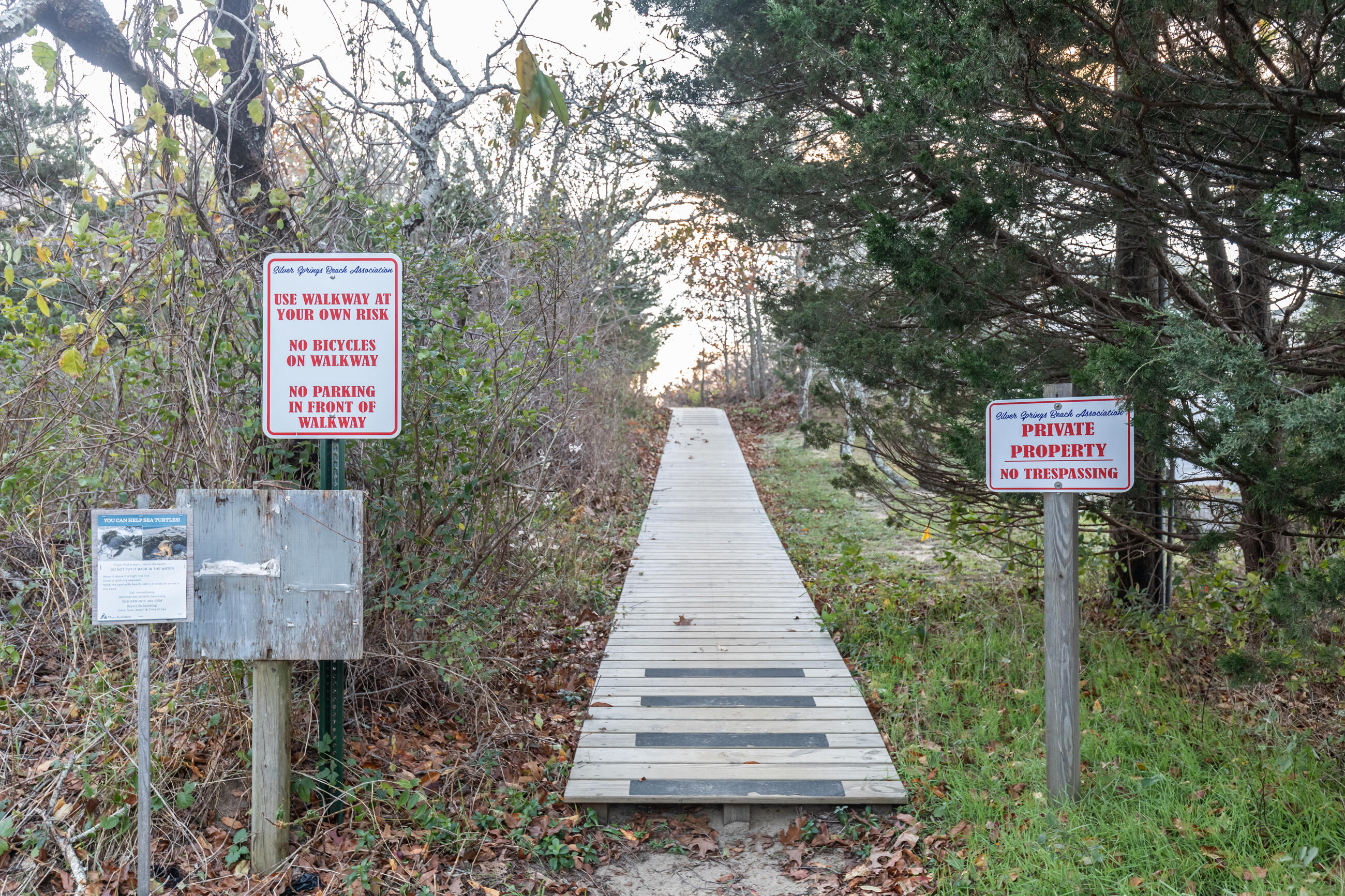250-270 Silver Spring Beach Road Eastham, MA 02642 - Photo 5 of 39 270 Silver Springs Beach Road