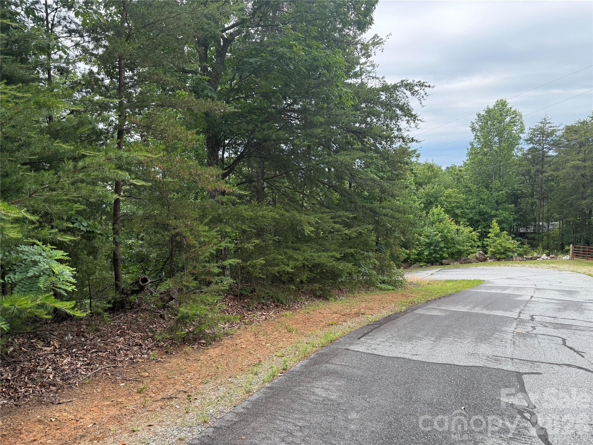 0 Arbra Mountain Road, Unit 54 Bostic, NC 28018 - Photo 10 of 11