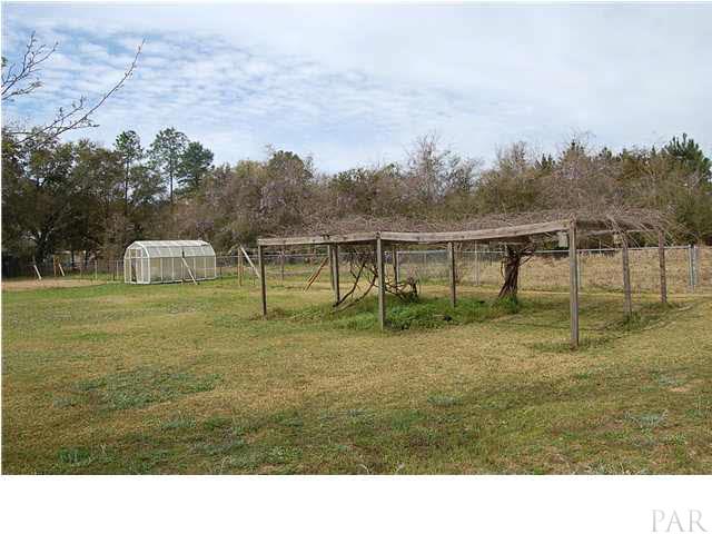 7355 Beulah Road Pensacola, FL 32526 - Photo 13 of 13 Arbour and greenhouse in back yard