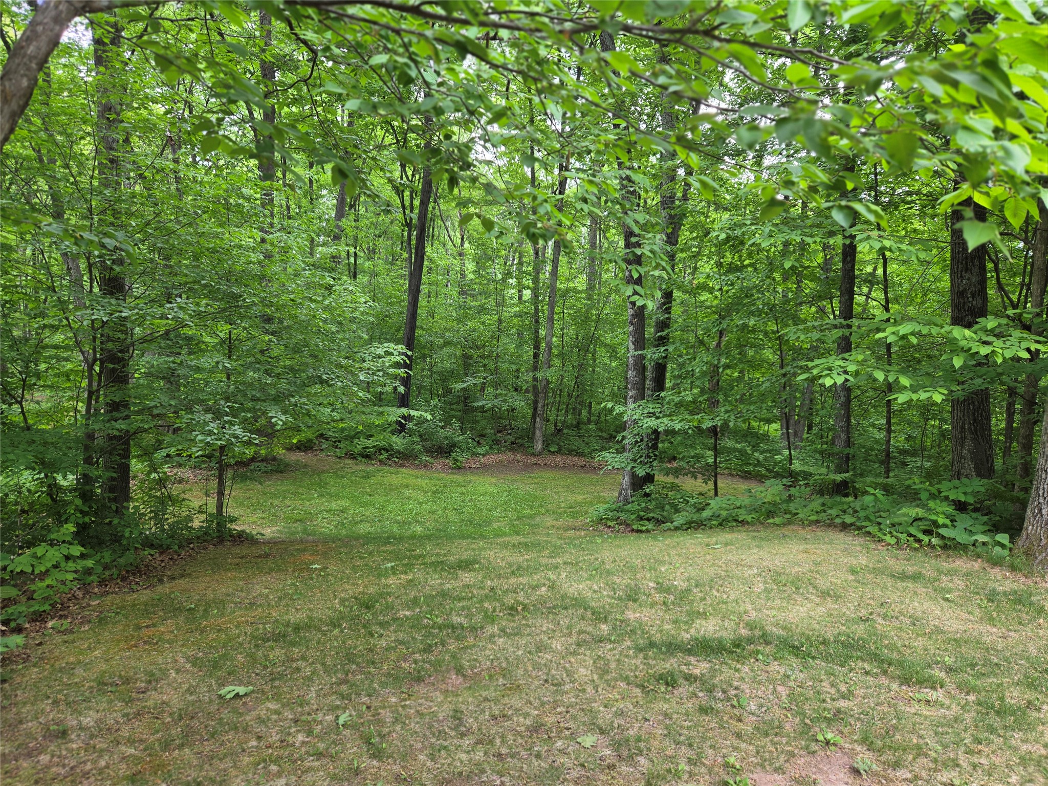 1388 West Town Hall Road Springbrook, WI 54875 - Photo 7 of 58