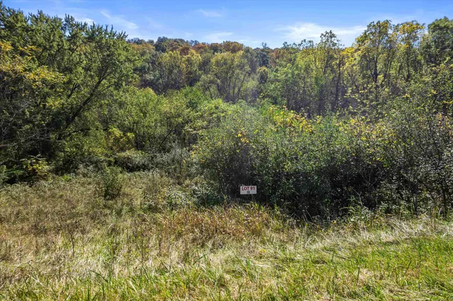 $14,989 | 1537 White Flagg Lane, La Valle, WI 53941