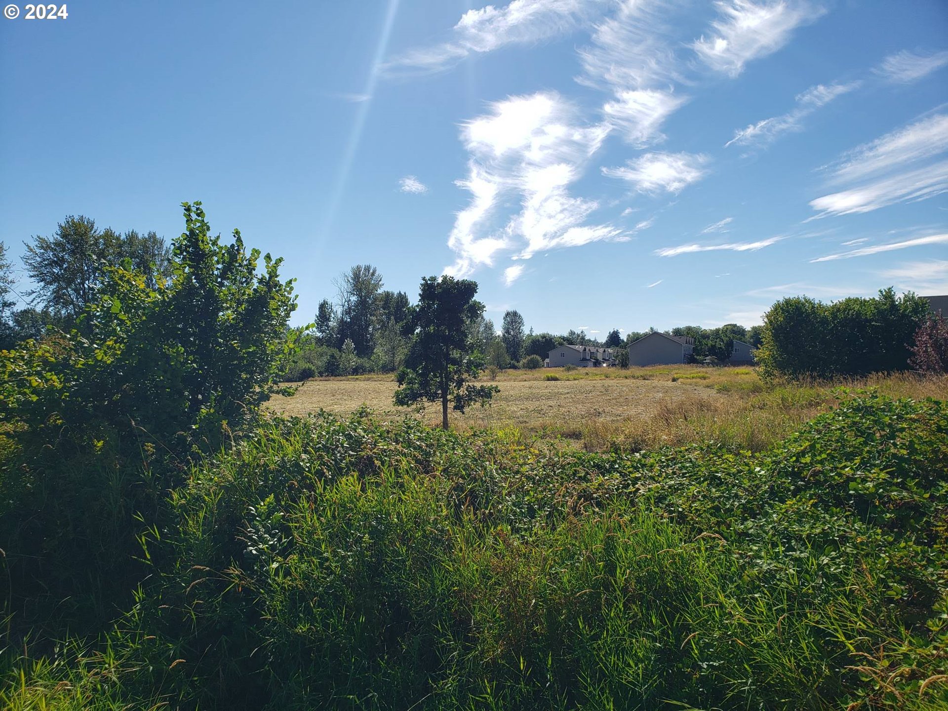 Northwest 20th Avenue Battle Ground, WA 98604 - Photo 2 of 4