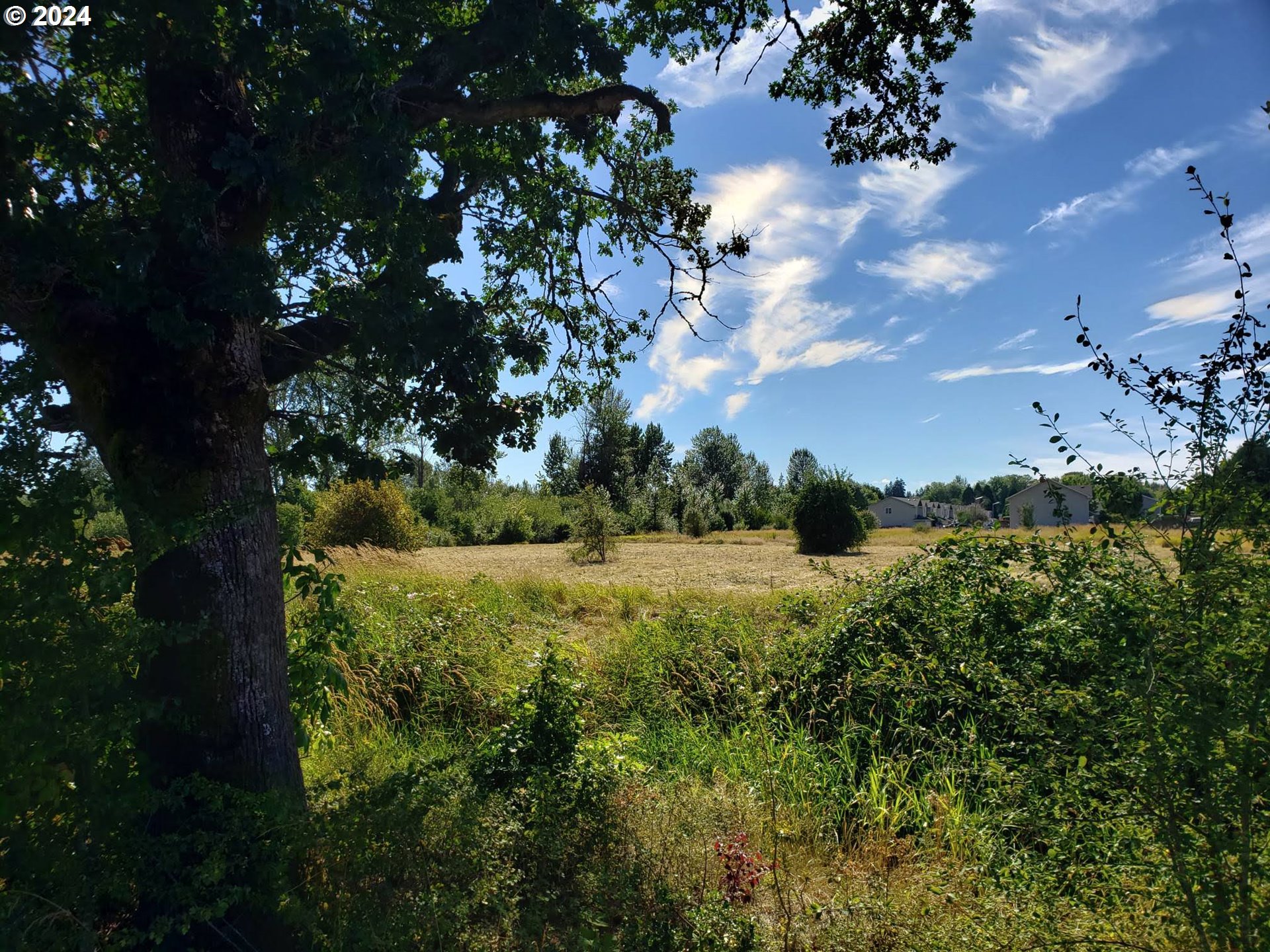 Northwest 20th Avenue Battle Ground, WA 98604 - Photo 3 of 4
